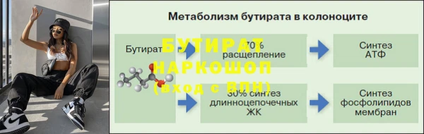 ПСИЛОЦИБИНОВЫЕ ГРИБЫ Вязники