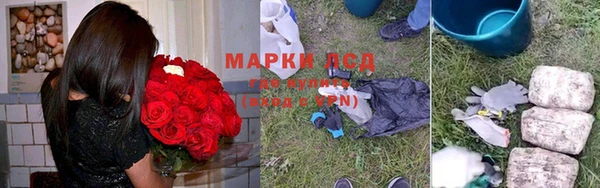 СК Володарск