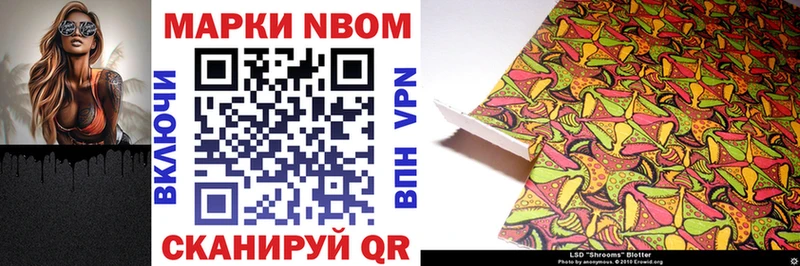 где купить наркоту  даркнет клад  Марки 25I-NBOMe 1,8мг  Вилючинск 