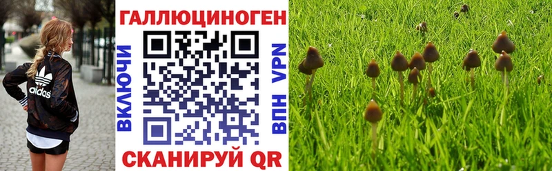 Псилоцибиновые грибы ЛСД  что такое наркотик  Вилючинск 